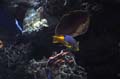 Barcelona_Aquarium_003