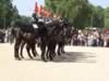 horseguard04.jpg (78kb)