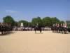 horseguard05.jpg (51kb)