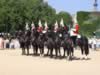 horseguard07.jpg (81kb)