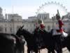 horseguard10.jpg (45kb)